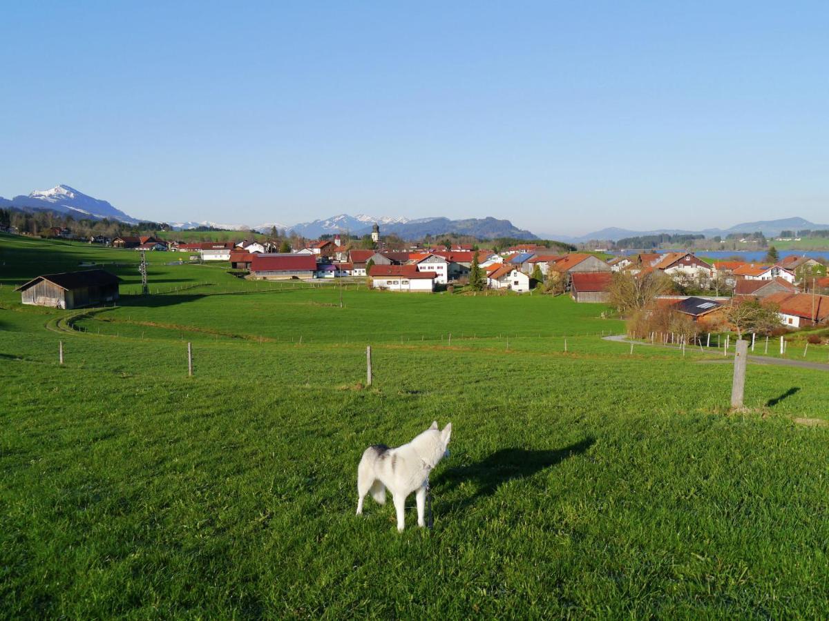 Cosy Apartment In Allg U With Garden Oy-Mittelberg Εξωτερικό φωτογραφία